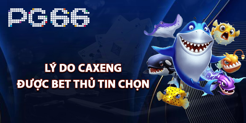 Lý do Caxeng được bet thủ tin chọn
