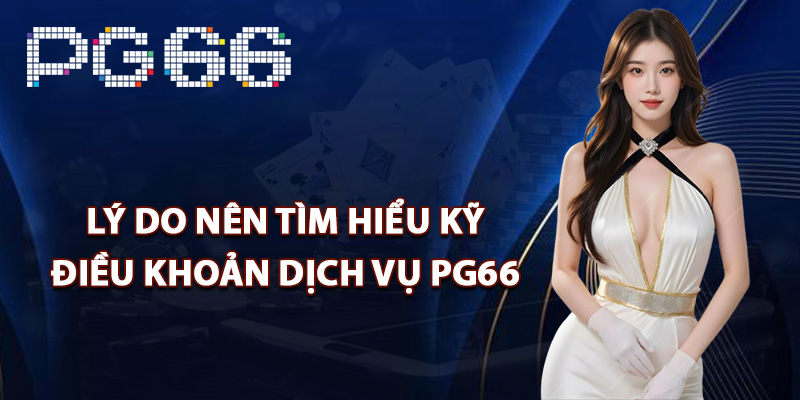 Lý do nên tìm hiểu kỹ điều khoản dịch vụ PG66